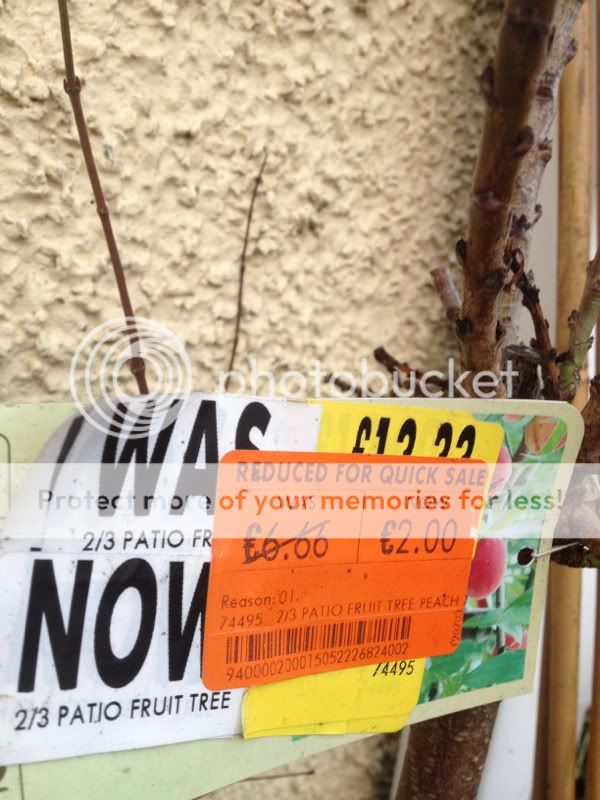 Photobucket Pictures, Images and Photos